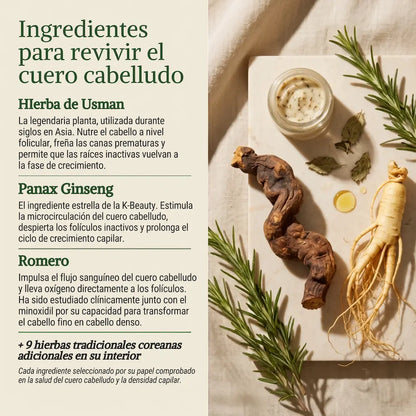 Raíz Coreana™ — Barra de Revitalización Capilar